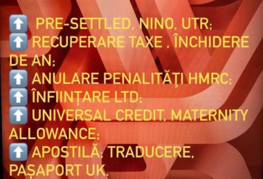 Firma Romaneasca De Consultanta Si Contabilitate In UK