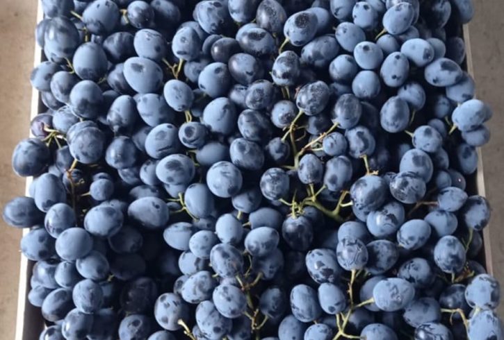 Carne, Fructe, Branzeturi Si Miere De Casa La Comanda In UK