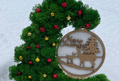 Cadouri Personalizate Cu Licheni In Edgware, Londra