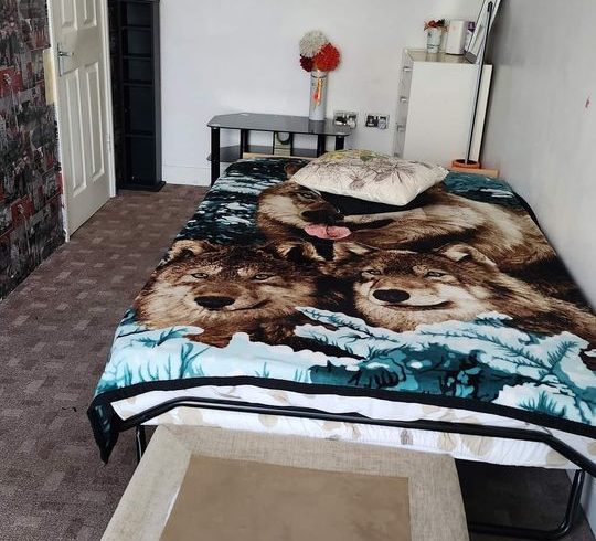 Chirie Camera Single In Woolwich, Londra