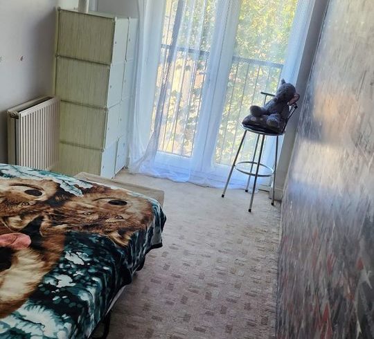 Chirie Camera Single In Woolwich, Londra