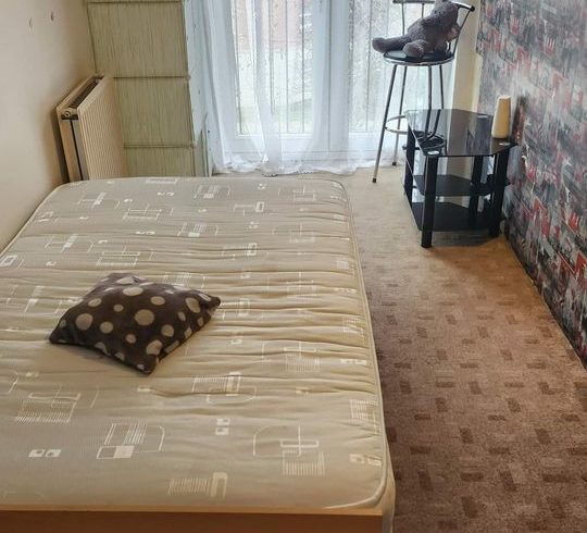 Chirie Camera Single In Royal Arsenal, Londra