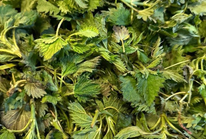 Magazin Romanesc Cu Produse De Sezon In Dagenham, Londra