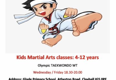 Lectii De Arte Martiale Taekwondo Pentru Copii In Ilford, Londra