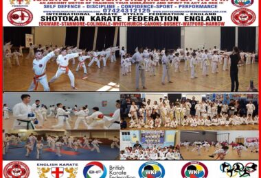 Inscrieri Club De Karate In Diverse Locatii In Londra, UK