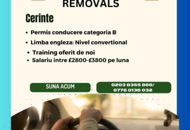 Muncă Șoferi Mutări În Londra, UK