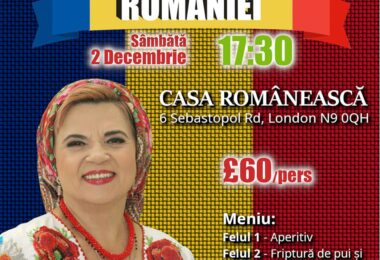 Petrecere De Ziua Națională a României În Enfield, Londra