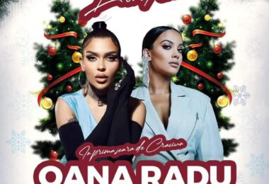 Petrecere Românească De Crăciun 2023 În Tottenham, Londra