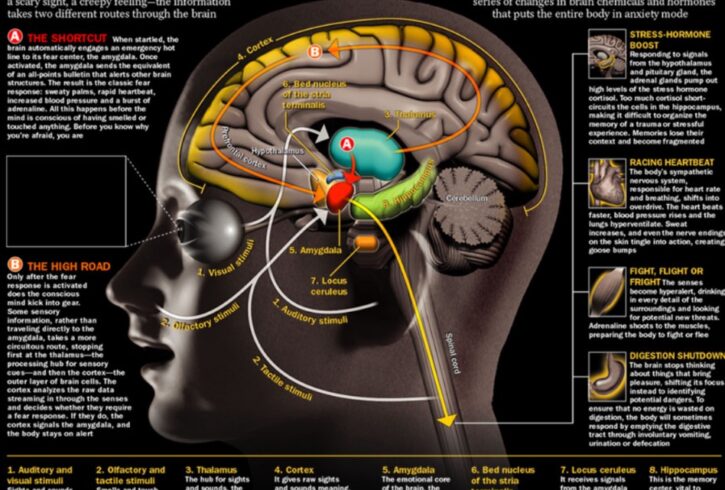Consultatii Psihoterapie Online, Telefonic sau Cabinet in UK