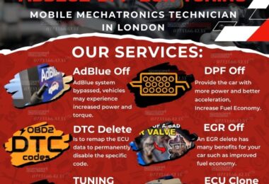 Prestez Servicii Electronist Electrician Auto in Londra, UK