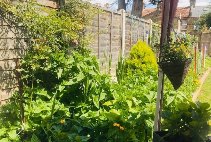 Double si King Size in Walthamstow Central - E17 Double si King Size in Walthamstow Central - E17