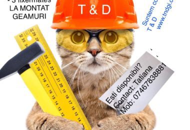 Angajam 3 Fixeri si 3 Fixermates la Montat Geamuri