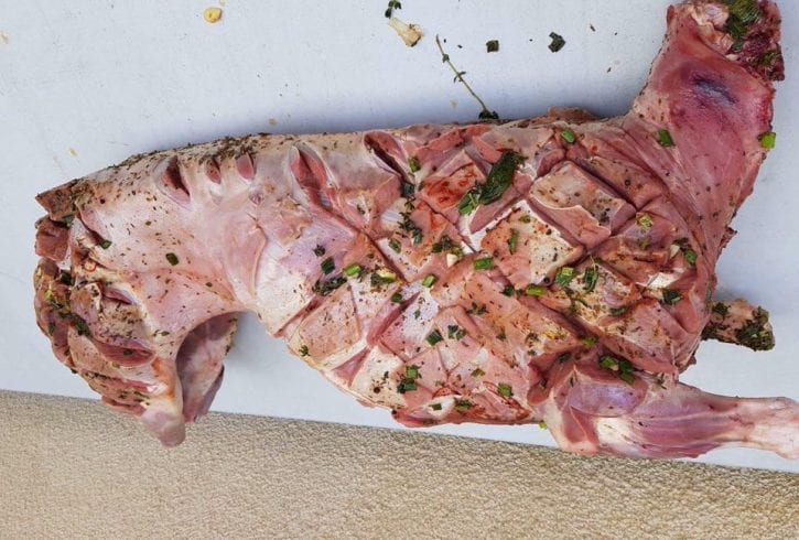 Protap traditional romanesc Wellingborough UK