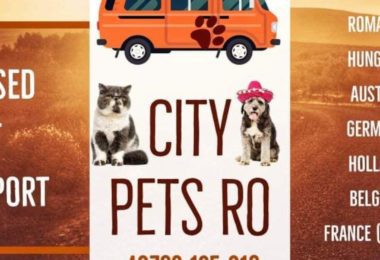 Citypets Ro Oferă Transport Autorizat caini si pisici RO-UK