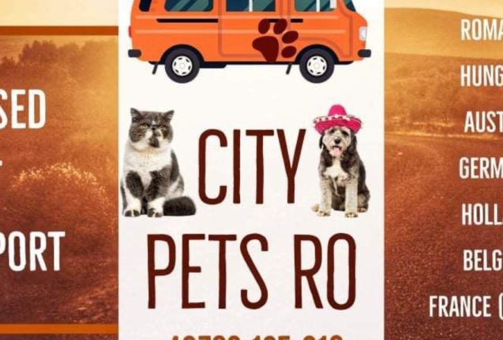 Citypets Ro Oferă Transport Autorizat caini si pisici RO-UK