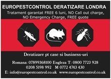 Servicii deratizare non stop free Londra E7
