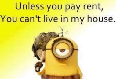 Job Domestic cleaner full-time - Spic and Span Cleaners Ltd Greenford UB6