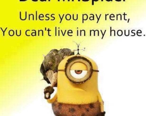 Job Domestic cleaner full-time - Spic and Span Cleaners Ltd Greenford UB6