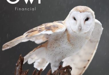 Servicii de Asigurare de Viata in Swindon, UK - Owl Financial