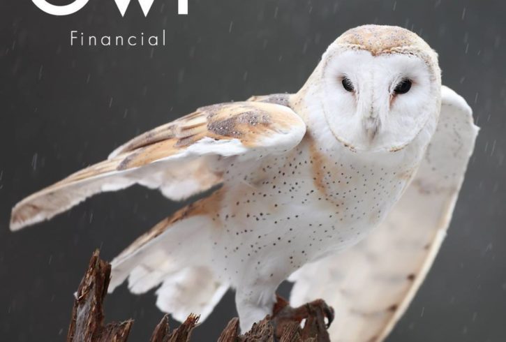 Servicii de Asigurare de Viata in Swindon, UK - Owl Financial