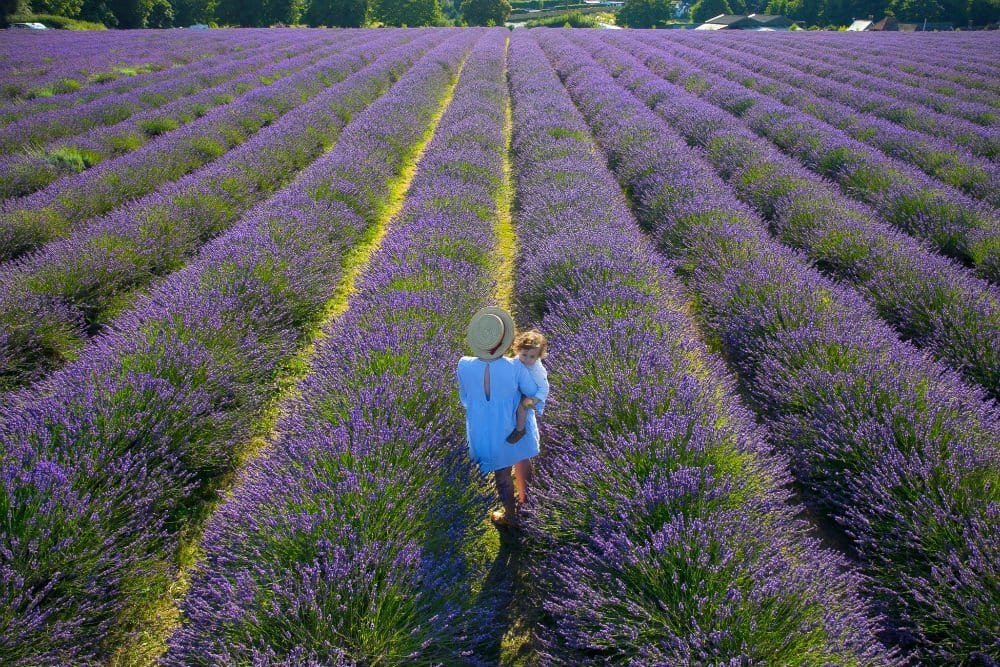 Creative Pandas Photography - Portret Creative Pandas Photography - Portret