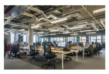 Firma Constructii Cauta Administrator Site in Londra