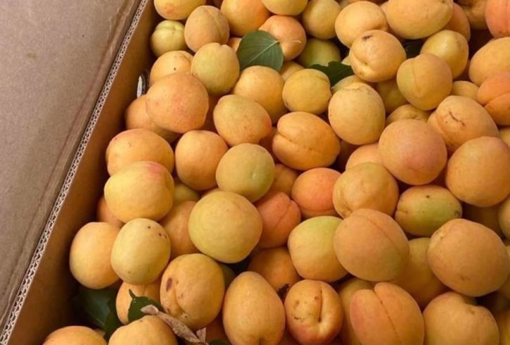 Vand Legume Si Fructe Din Moldova In Tower Hamlets, Londra