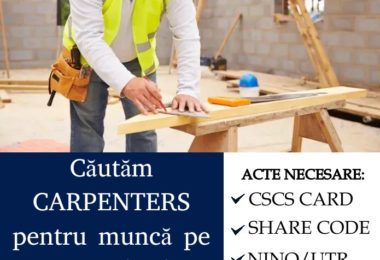 Munca Pentru Tamplari Si Dulgheri In Londra Si In Afara Londrei