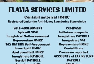 Flavia Services Limited - Contabil Autorizat In Hounslow, Londra