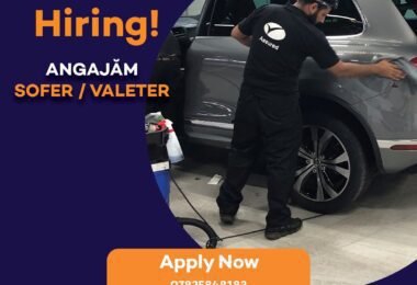 Munca Soferi, Valeteri, Inspectori Auto In Bristol, UK