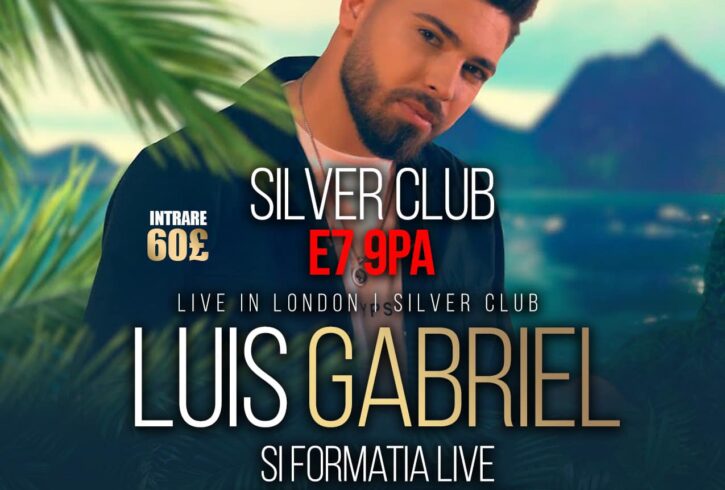 Concerte Live Si Petrecere De Craciun In Newham, Londra