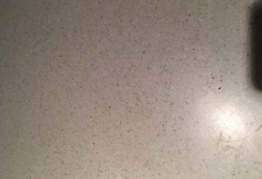 Painter cu experienta - Lucrari in Pret