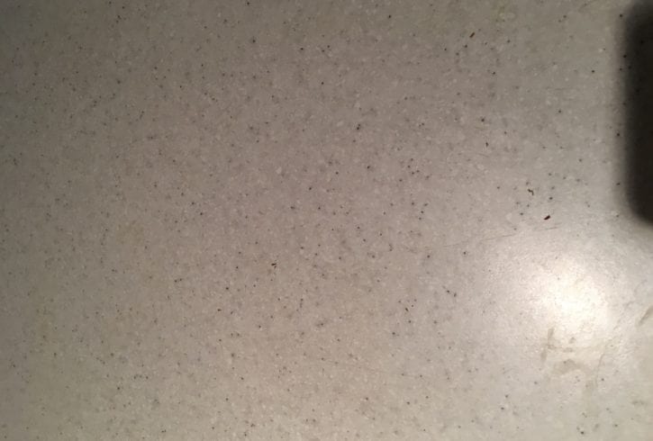 Painter cu experienta - Lucrari in Pret