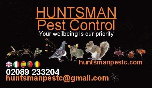 Servicii Deratizare in Londra - Huntsmanpestc
