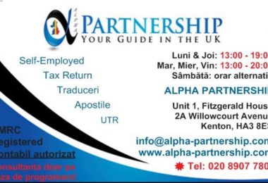 Contabil si Traducator Autorizat in Kenton - Alpha Partnership