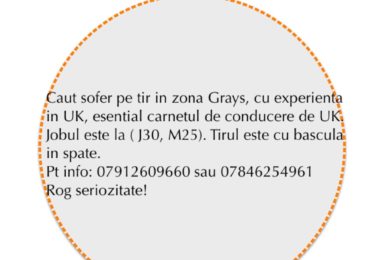 Job sofer de tir bascula cu experienta in UK