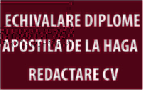 Oana Sofronov - Traduceri autorizate / legalizate