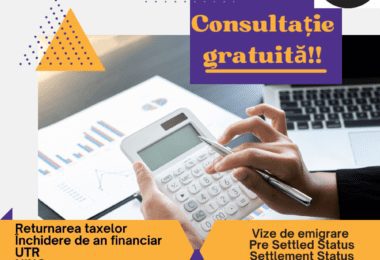 Servicii Contabile Și Emigrări - Consultanță Gratuită!