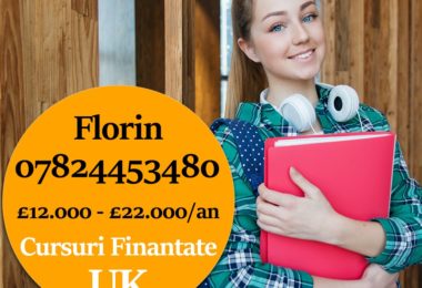 Cursuri Finantate Inginerie si Management in Londra