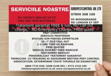 Deratizare plosnite Londra - Europestcontrol LTD