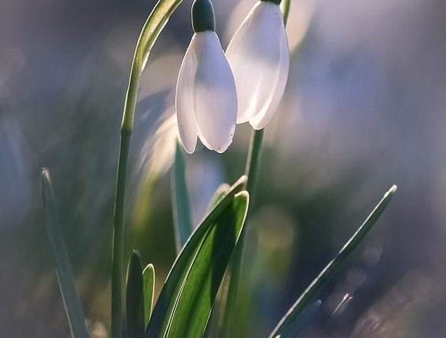 Meditații Matematica Online Diferite Nivele