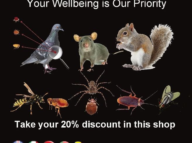 deratizare in Birmingham