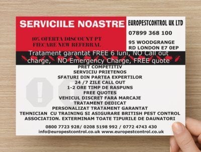 Servicii deratizare non stop free Londra E7