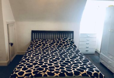 Camera Dubla in Forest Gate - Londra E7