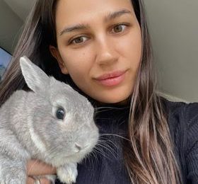 Vand Iepurasi Dragalasi Rasa Norvegiana in UK