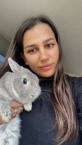 Vand Iepurasi Dragalasi Rasa Norvegiana in UK