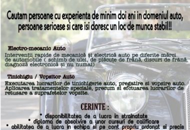 Angajam vopsitori auto si electro-mecanici Fareham PO1