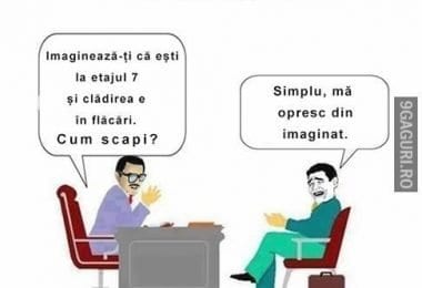 CV-uri eligibile si curate concepute de profesionisti