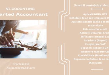 NI-Consulting Oferă Servicii de Contabilitate in Londra