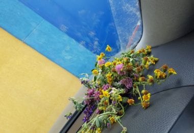 Caut de munca în cleaning, housekeeper, îngrijire batrani!